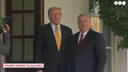 Híres pajzsok