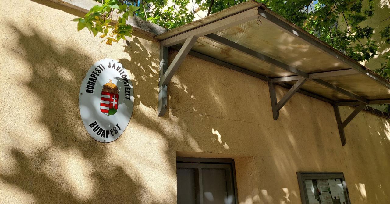 Folyamatosan helyezik át a Szőlő utcai fiatalokat
