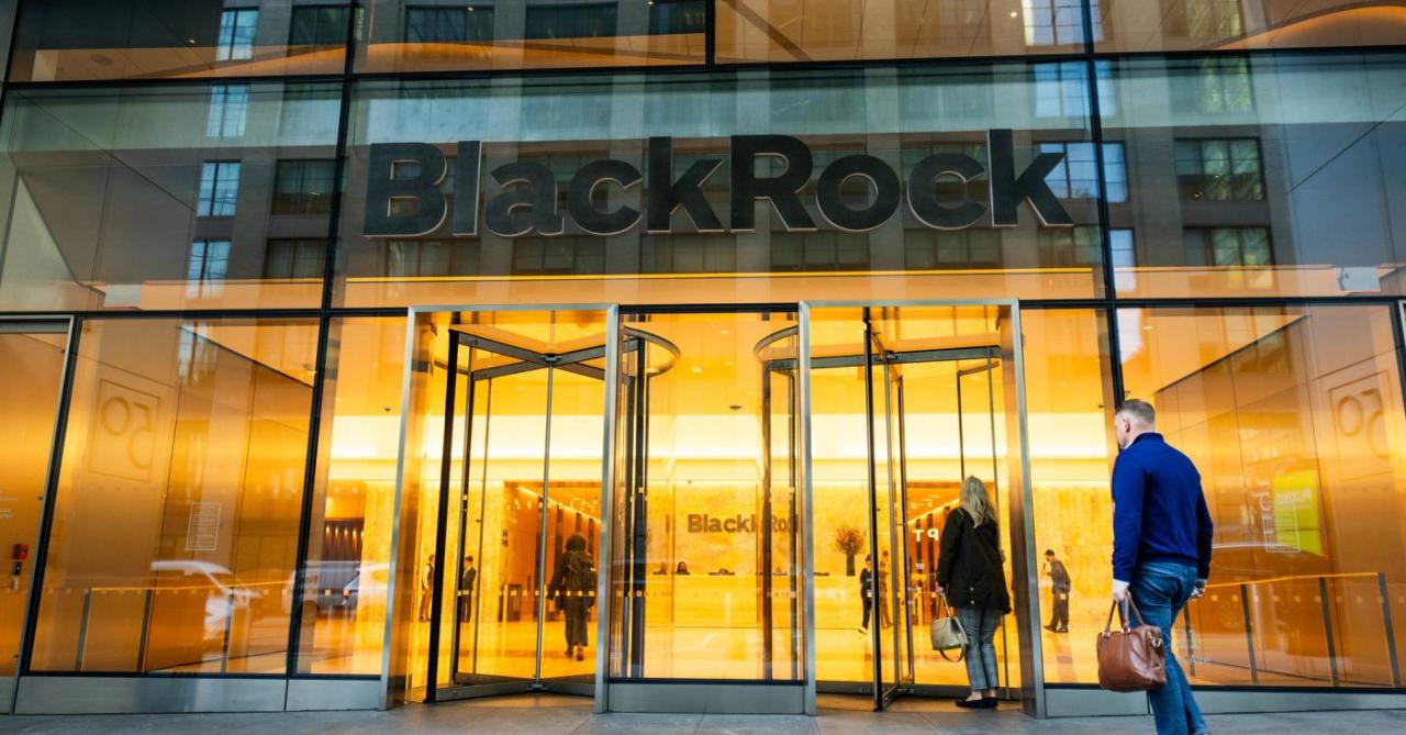 BlackRock: globalista háttérhatalom vagy a kormány megbízható partnere?